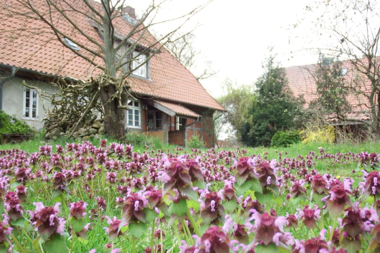 Ferienhof Rauchhaus Karft Eksteriør billede